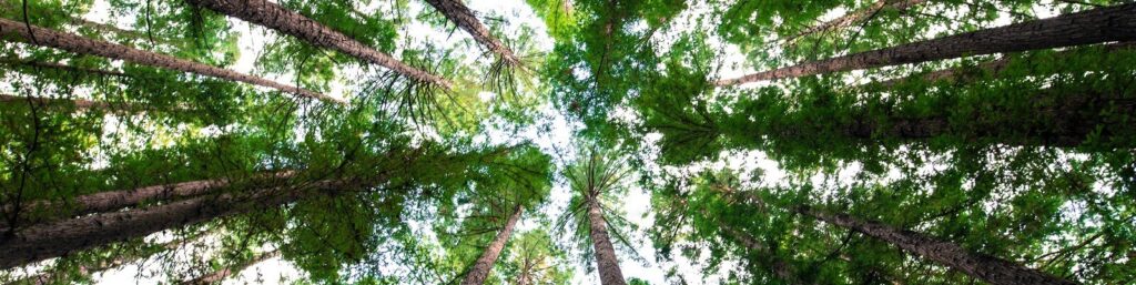 Living wage benefits|DevOps live|Building a better business banner|Building a better business thumbnail