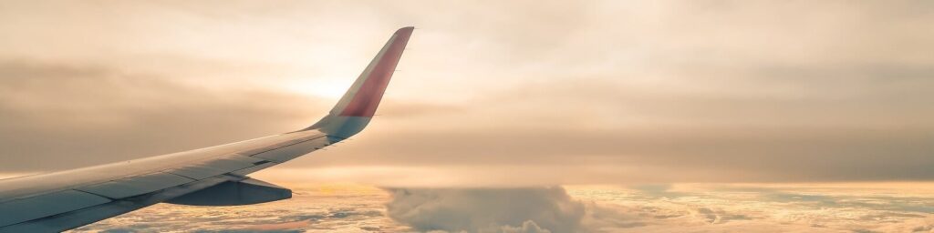 Flight view|Flight view|